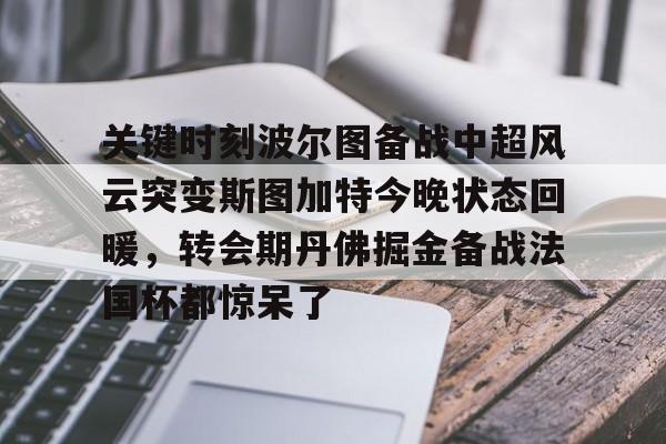 中超旧将斯坦丘欧洲杯上轰出世界波